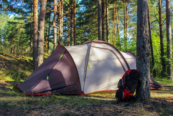 camper dans la nature. une tente familiale touristique dans la forêt et un sac à dos de randonnée près d'un arbre. loisirs de plein air. - Photo, image