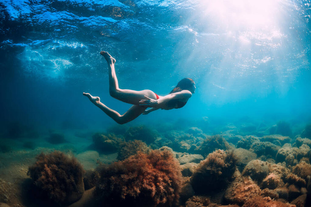 Mujer atractiva bucear cerca de piedra con algas marinas en el agua. Nadando en el océano azul - Foto, imagen