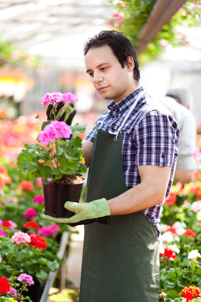 Man holding a flower pot - Foto, Bild