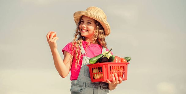 Παύση φαγητού. Κοριτσάκι λαχανικό στο καλάθι. Φυσικό είναι. βιταμίνη συγκομιδής. ανοιξιάτικος κήπος. Χαρούμενος μικρός αγρότης. Φθινοπωρινή συγκομιδή ένα παιδί στην καλοκαιρινή φάρμα. Βιολογικά τρόφιμα. υγιεινή τροφή για παιδιά - Φωτογραφία, εικόνα