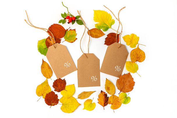 Composición creativa de otoño, vista superior, capa plana, hojas secas de color brillante sobre un fondo blanco, espacio de copia, plantilla de ventas, diseño, volantes.  - Foto, imagen