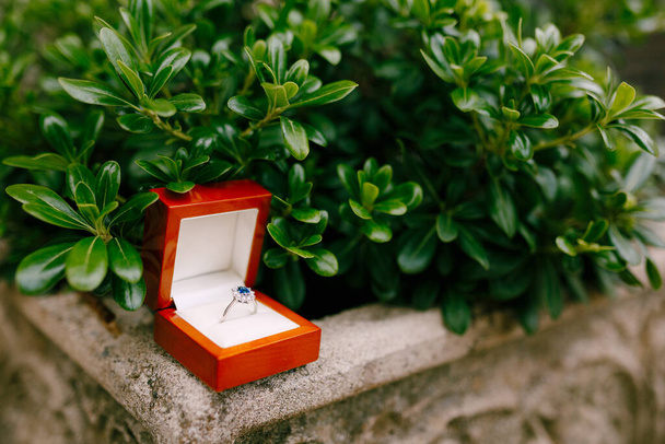 Кільце заручин з синім дорогоцінним каменем у коробці на фоні зеленого ящика у відкритому квітковому горщику з каменю
. - Фото, зображення