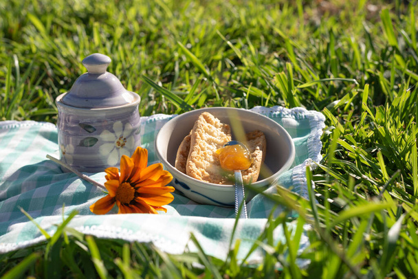 Marmalade appetizer in rural picnic with mauve crockery and orange flower at sunrise. Good morning theme. Blurred grass in foreground and copy space background - Photo, Image