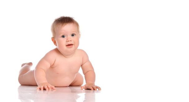 One year old naked baby boy crawls on a white background. - 写真・画像