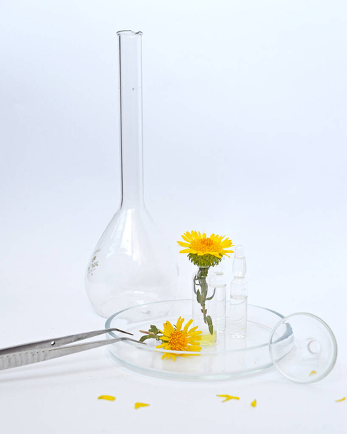 фон желтых полевых цветов в лабораторной стеклотаре с ампулами - Фото, изображение