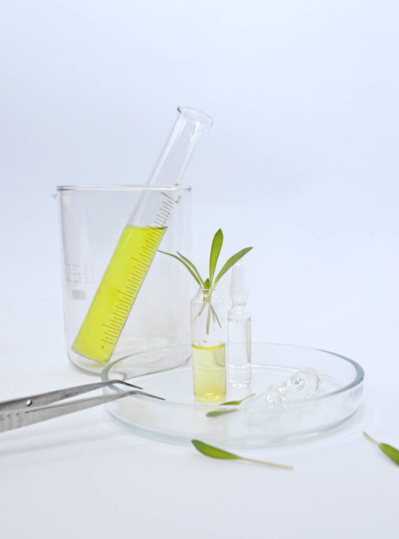 natural healing herbs with ampoules in glass laboratory glassware - Photo, Image