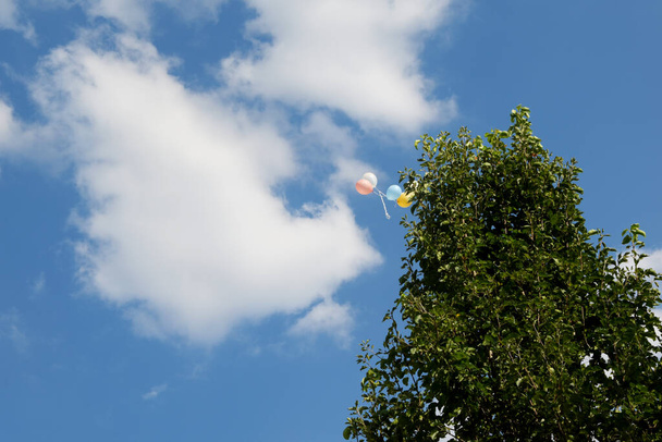 Un montón de globos volaron hacia el cielo, por encima de los árboles. - Foto, Imagen