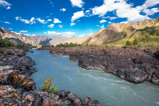 View of the Katun river at the place where Oroktoysky bridge is located. Chemalsky district, Altai Republic, southern Siberia, Russia - Photo, Image