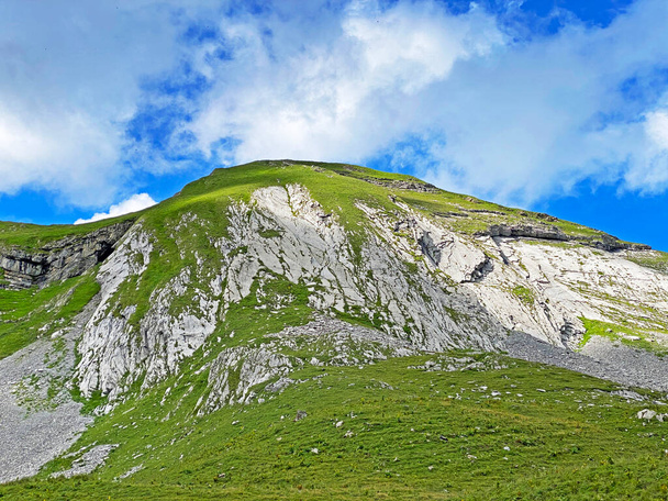 山頂下のアルパインプレート｜Chli Haupt Murmelchopf and over the Aa Alp高原, Melchtal - Canton of Obwalden, Switzerland (Kanton Obwalden, Sweiz)) - 写真・画像