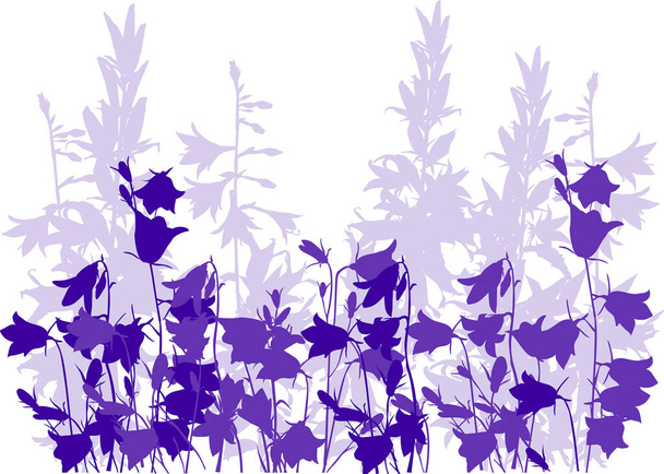 ilustração com flores de sino lilás isoladas sobre fundo branco - Vetor, Imagem