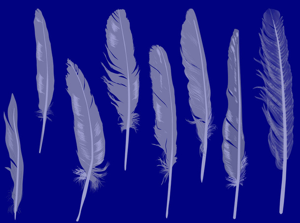 illustration with grey feathers on blue background - Vector, Image