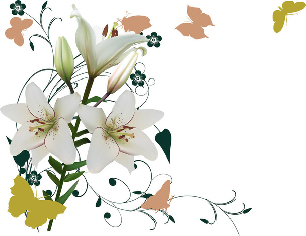 illustrazione con farfalle e composizione di fiori di giglio bianco - Vettoriali, immagini