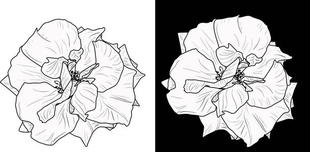 εικονογράφηση με μικρά ροζ σχέδια που απομονώνονται σε λευκό και άσπρο φόντο - Διάνυσμα, εικόνα