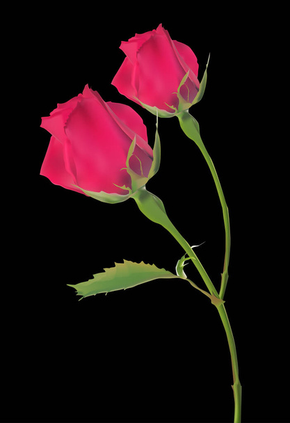 απεικόνιση με κόκκινο τριαντάφυλλο λουλούδι απομονώνονται σε μαύρο φόντο - Διάνυσμα, εικόνα
