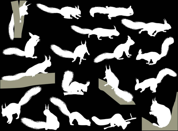 иллюстрация с восемнадцатью белками, изолированными на черном фоне - Вектор,изображение