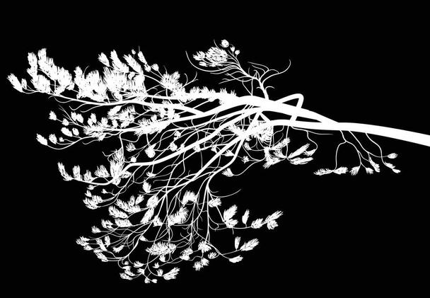 illustration with pine tree branch isolated on black background - Вектор, зображення