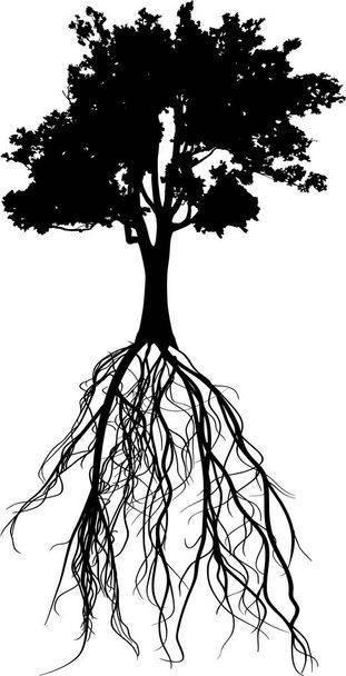 απεικόνιση με τη σιλουέτα του δέντρου απομονωμένη σε λευκό φόντο - Διάνυσμα, εικόνα