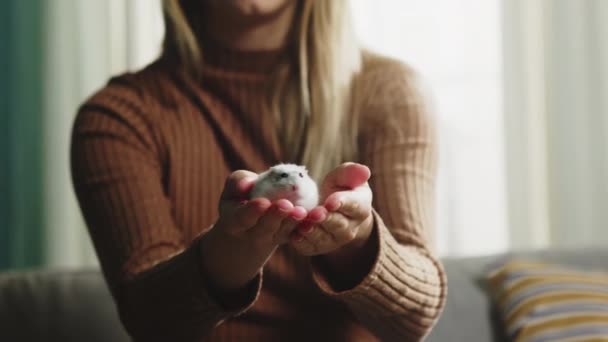 Woman holding white hamster outstretched hands - Footage, Video