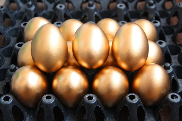 Ovos dourados no pacote preto
 - Foto, Imagem