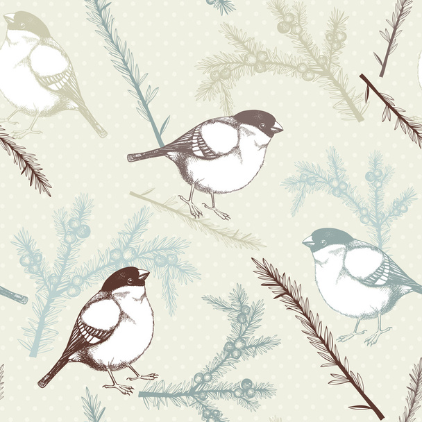 Vector seamless pattern with juniper twigs and bullfinch birds - Vecteur, image