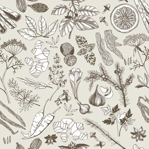 Seamless vector pattern with hand drawn spices and herbs. - Вектор, зображення