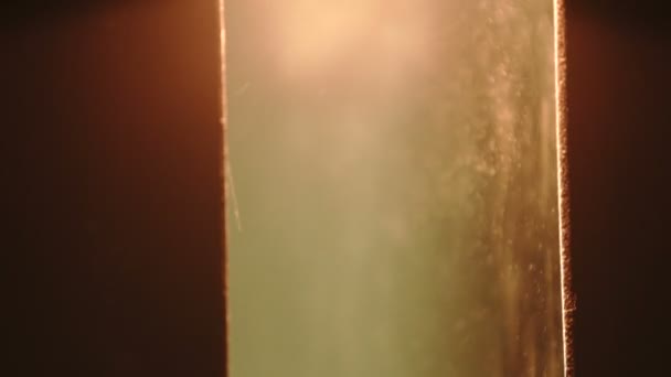 Particelle di polvere nella luce - Movimento lento  - Filmati, video