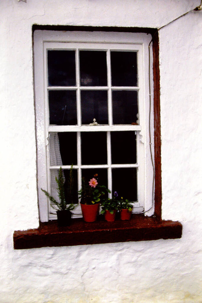 Біле плиткове вікно з квітковими горщиками
. - Фото, зображення