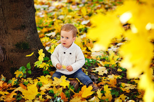 Baby in de herfst in de natuur. Een kind in een herfstpark. Leuke jongen spelen met esdoorn bladeren in de open lucht. - Foto, afbeelding