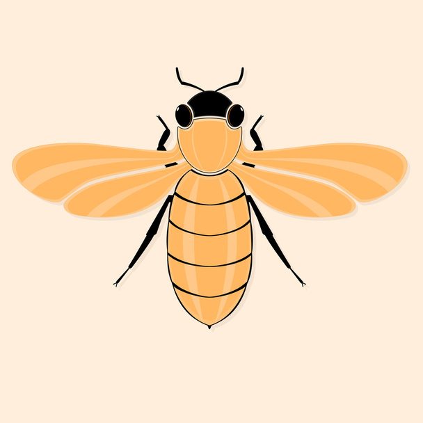 στυλιζαρισμένο, μέλισσα - Διάνυσμα, εικόνα