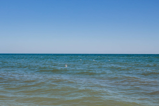 a sea sandy beach against blue sky - Photo, image