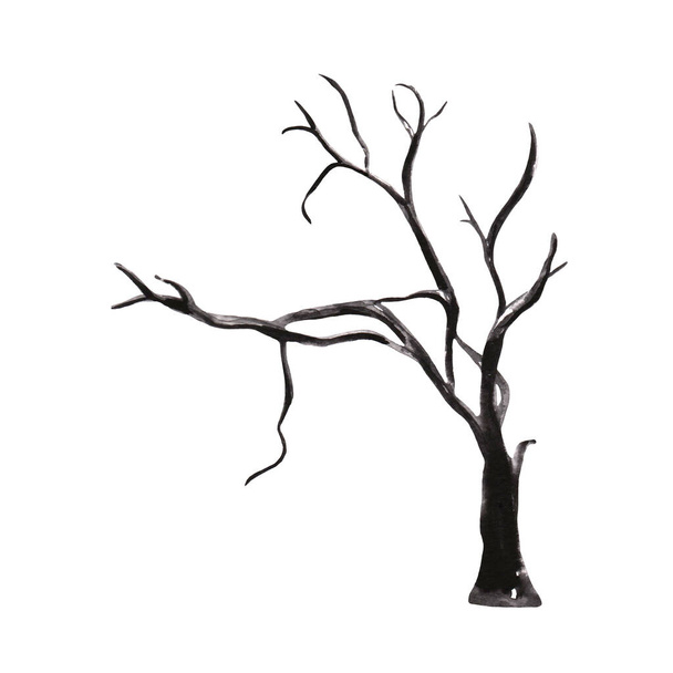 Одно темное дерево, нарисованное акварелью, изолированное на белом. Элемент для Хэллоуина украшения вечеринки или наклейки или поздравительной открытки. Поместите свою текстуру на естественный фон осеннего сезона. - Фото, изображение