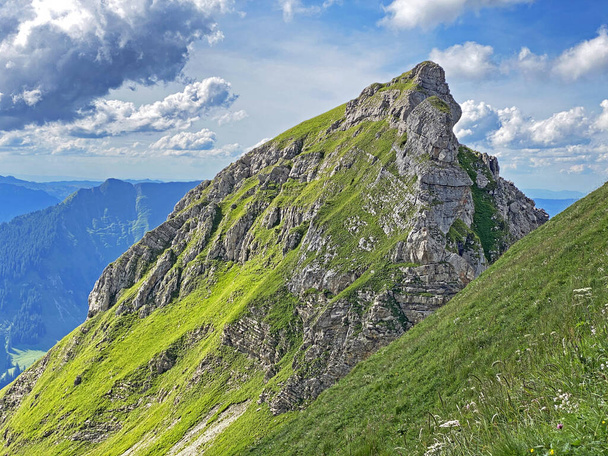 Alpejski szczyt Seefeldstock nad jeziorem Seefeldsee i masyw górski w Alpach Uri, Sachseln - Kanton Obwald, Szwajcaria (Kanton Obwalden, Schweiz) - Zdjęcie, obraz