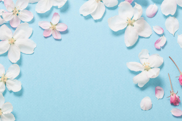 apple flowers on blue paper background - Foto, imagen