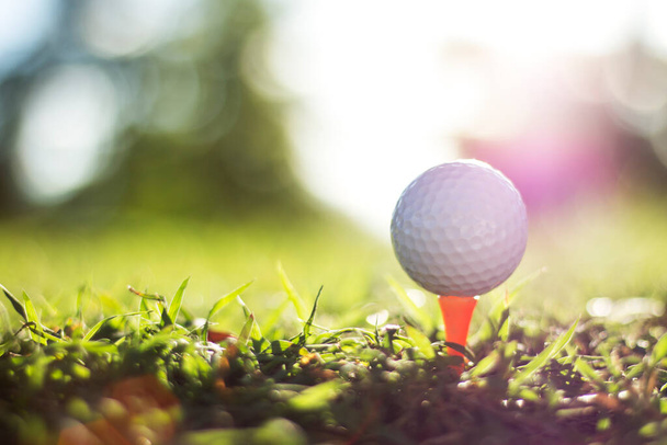 朝の日差しと美しいゴルフコースでティーゴルフボール.まず第一にゴルフの準備ができて.健康のための休日の間に世界中の人々が遊ぶスポーツ. - 写真・画像