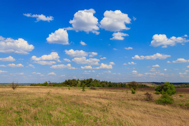 Spring landscape with green trees, meadows, fields and blue sky - Фото, изображение