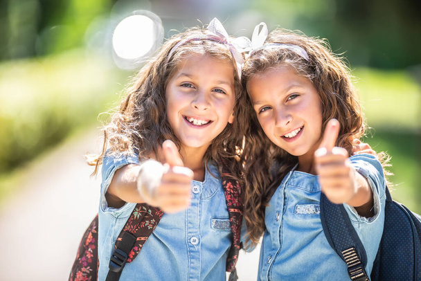 Twin sisters go back to school and showing thumbs up. - Foto, imagen