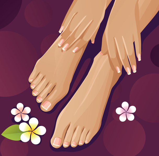 Manos y pies sanos con manicura francesa
 - Vector, Imagen