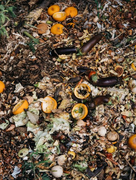 Hausmüll zur Kompostierung von Obst und Gemüse im Garten. Bunte Komposthaufen und Müllgruben mit verrottetem Gemüse und Obst. Lebensmittelabfälle aus der Landwirtschaft im Garten vermüllen. - Foto, Bild