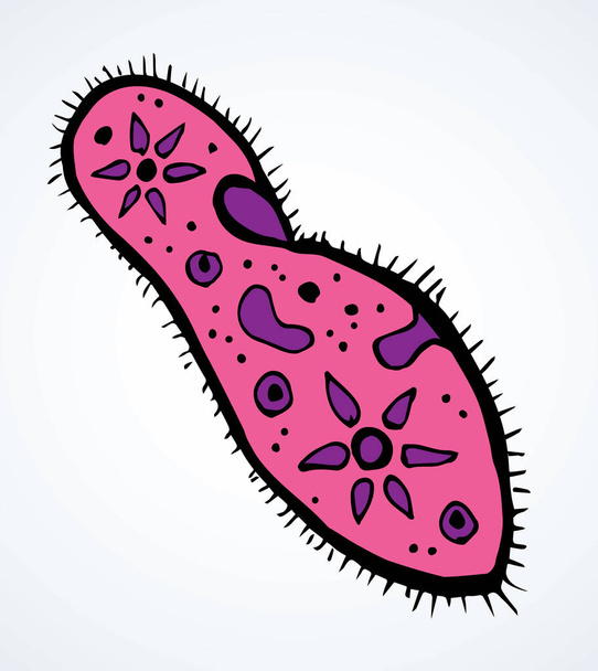 Absztrakt ovális alakú apró protist amoeba organelle pellicle parazita elem. Vonal fekete kézzel rajzolt labor mikroba ikon jel szimbólum piktogram diagram vázlat Art doodle rajzfilm stílus design. Közelkép - Vektor, kép
