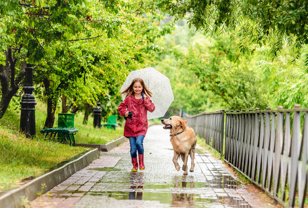 Little girl walking under rain with dog - Фото, зображення