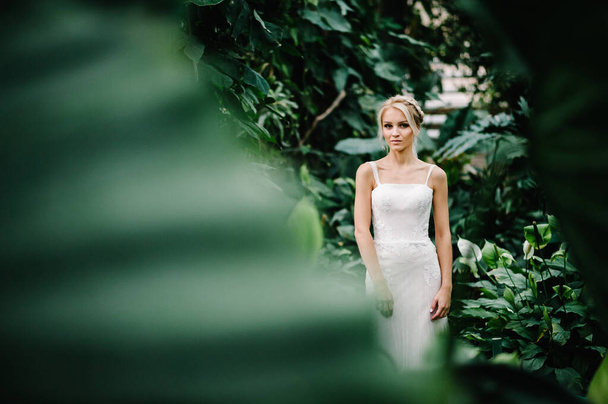 Woman stand in the Botanical green garden full of greenery. Wedding ceremony. Portrait attractive blonde bride standing in a wedding dress on the background of greenery. - Фото, зображення