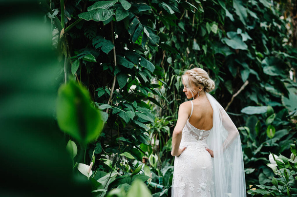 Portrait attractive blonde bride standing in a wedding dress on the background of greenery. Woman back stand in the Botanical green garden full of greenery. Wedding ceremony. - Fotografie, Obrázek