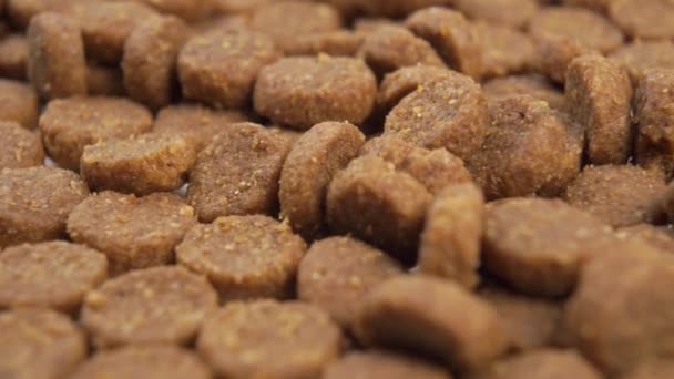 Dry cat food close-up. Juicy brown slices. Macro shot - Filmmaterial, Video