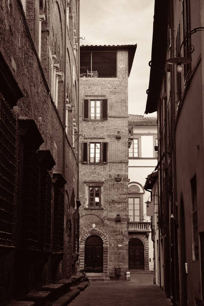 Lucca Street View - Фото, зображення