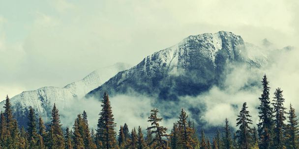 Banff Ulusal Parkı manzarası Kanada 'da sisli dağlar ve ormanlarla dolu. - Fotoğraf, Görsel