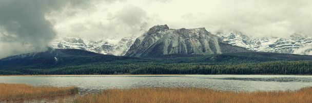 Montañas y panorama forestal en Bow Lake con niebla en el Parque Nacional Banff, Canadá
. - Foto, Imagen