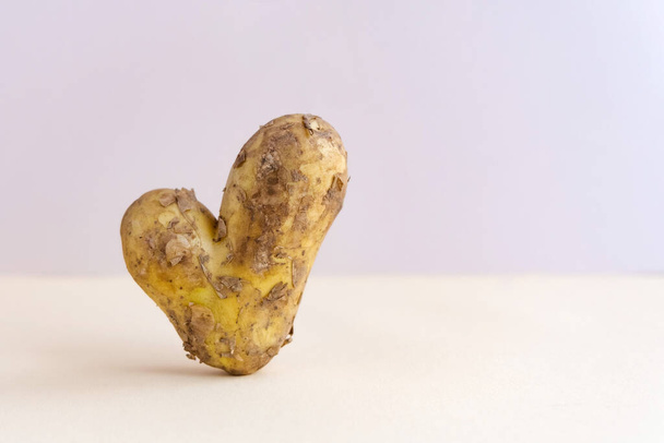 Brzydki lub zdeformowany ziemniak w kształcie serca stoi na modnym beżowym tle. Znak jest w porządku od ziemniaków. Brak marnotrawstwa żywności, przyjazne dla środowiska - Zdjęcie, obraz