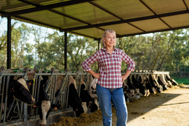 Mujer agricultora está trabajando en granja con vacas lecheras - Foto, Imagen