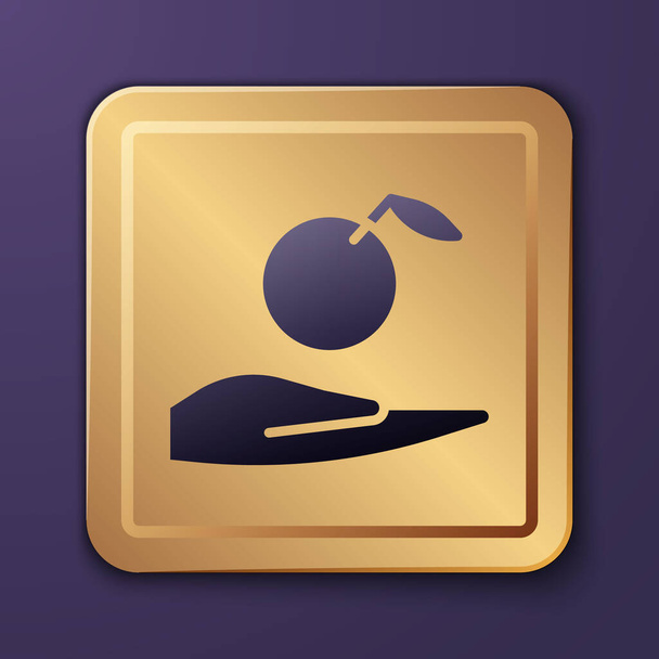 Purple Apple in hand icon isolated on purple background. Fruit with leaf symbol. Gold square button. Vector Illustration. - Vector, Image