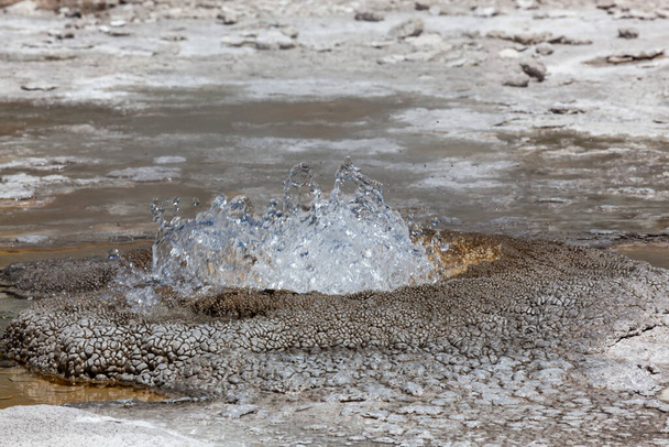 Un évent thermique dans le sol du parc national Yellowstone qui répand de l'eau chaude dans l'air avec des formations bactériennes uniques qui l'entourent. - Photo, image
